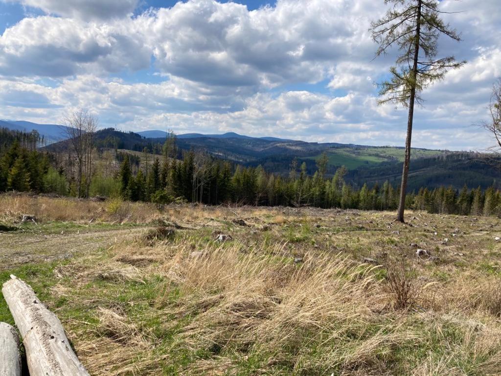 Horsky Apartman V Karlovicich Daire Karlovice  Dış mekan fotoğraf